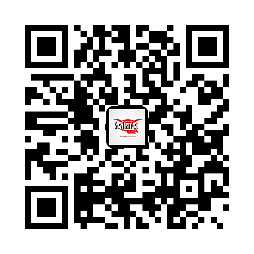 https://menugetir.com